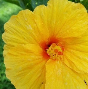 Meet your Posher, Lee ellen